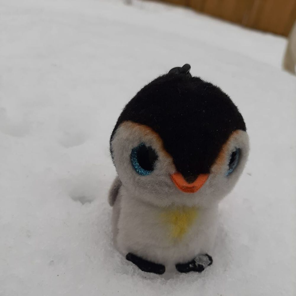 Meet your Posher, Hiu wai